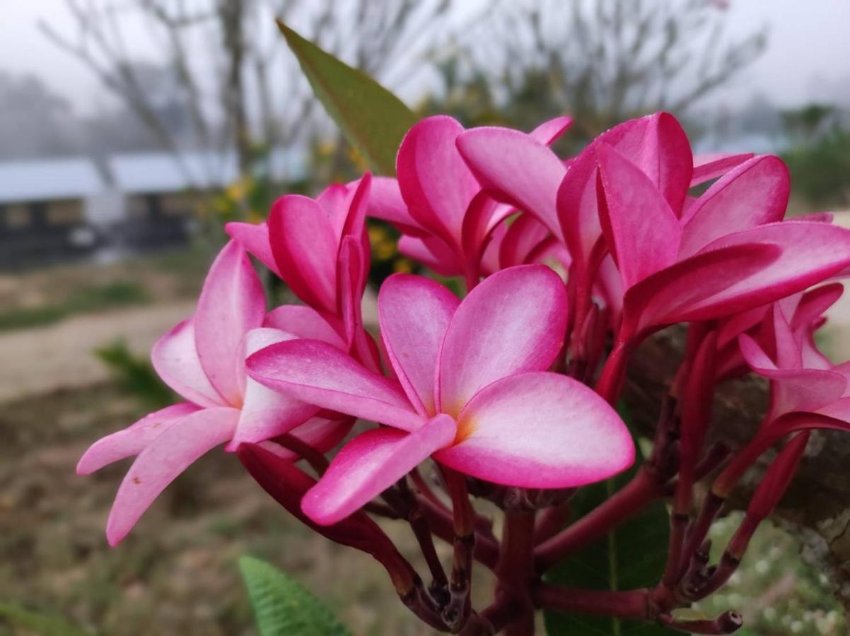 Hin Dat Nakakiri Resort & Spa מראה חיצוני תמונה